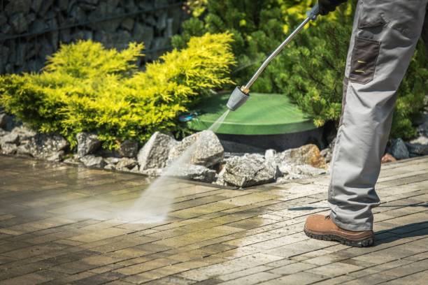 Best Fence Cleaning  in Pittsburg, TX
