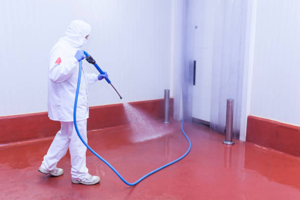 Best House Exterior Washing  in Pittsburg, TX
